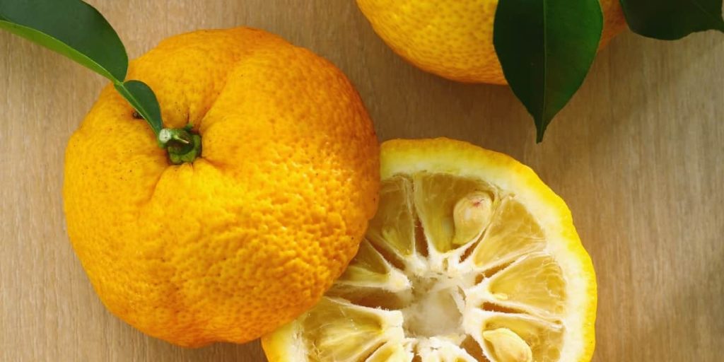 Yuzu: el cítrico japonés que ha conquistado la alta gastronomía